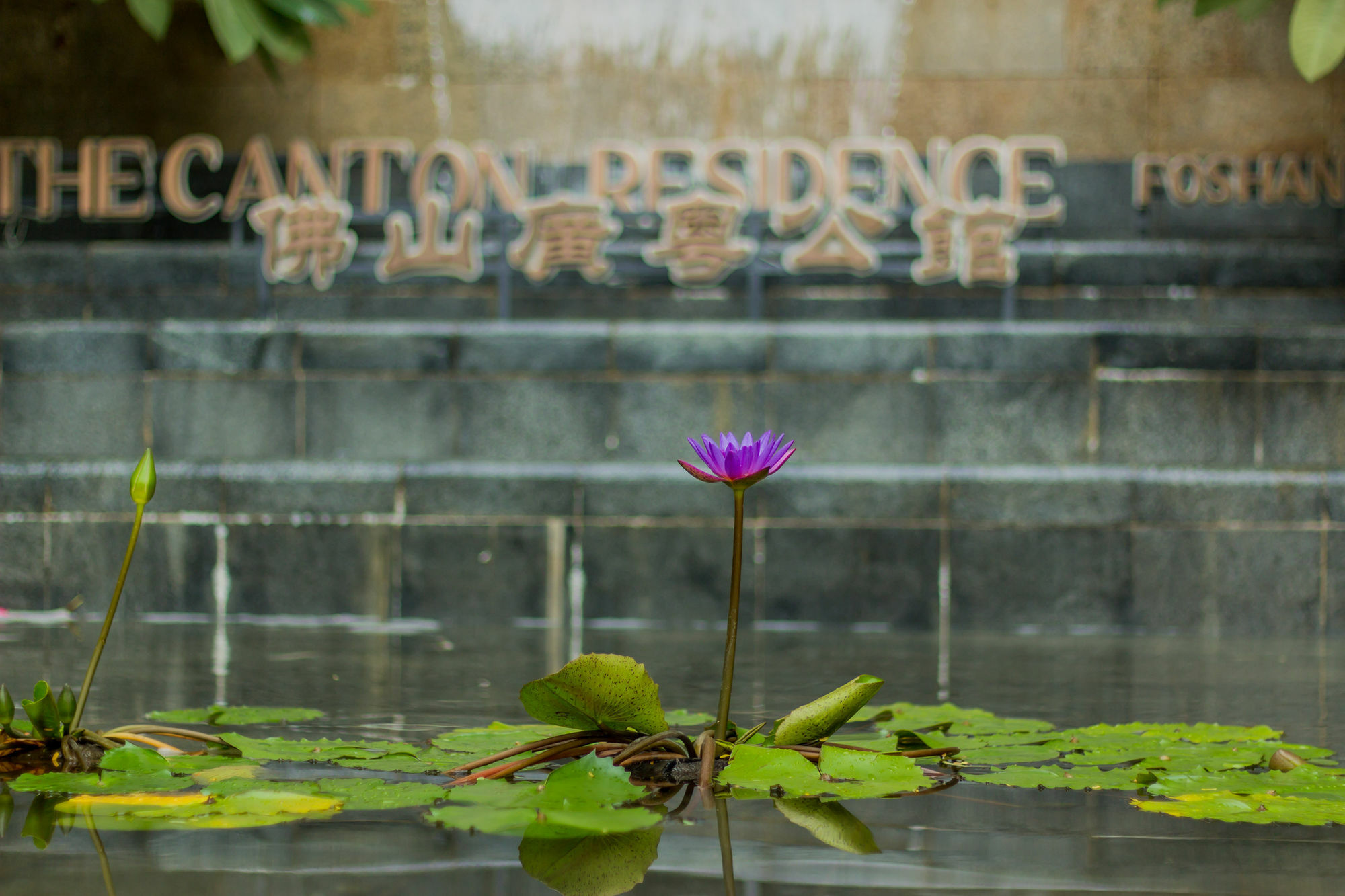 The Canton Residence 佛山 外观 照片